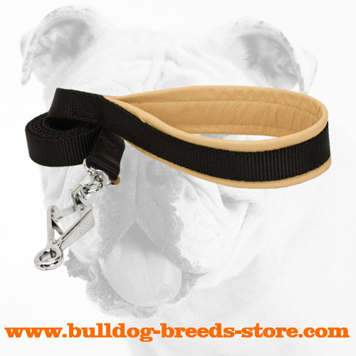 Walking Nylon Bulldog Leash Equipped with Soft Handle