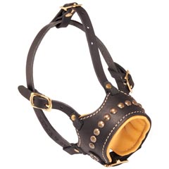 Padded Leather Bulldog Muzzle with Studs