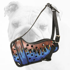 Painted Training Leather Bulldog Muzzle with Soft Padding
