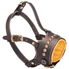 Training Leather Bulldog Muzzle with Adjustable Straps